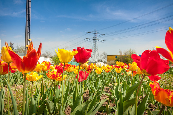 20140402_114632__DSC3255