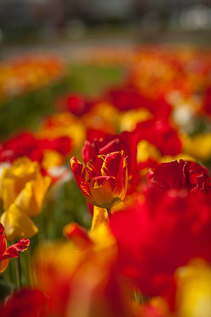 20140402_113837__DSC3172