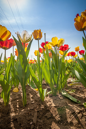 20140402_114329__DSC3217