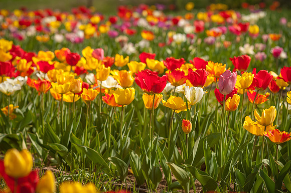 20140402_114038__DSC3186