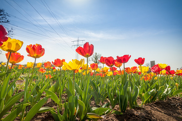 20140402_114454__DSC3237
