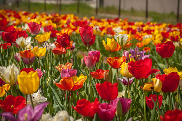 20140402_113705__DSC3154
