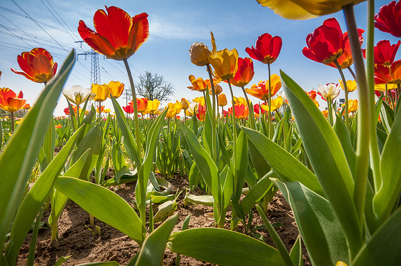 20140402_114517__DSC3243