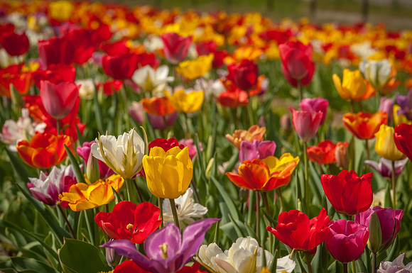 20140402_113659__DSC3152
