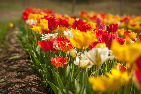 20140402_114028__DSC3185