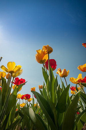 20140402_114337__DSC3222