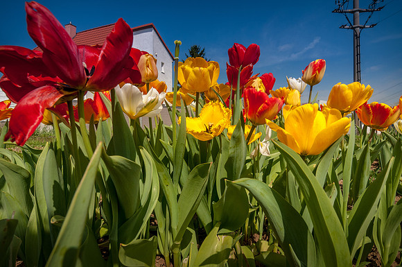 20140402_114743__DSC3263
