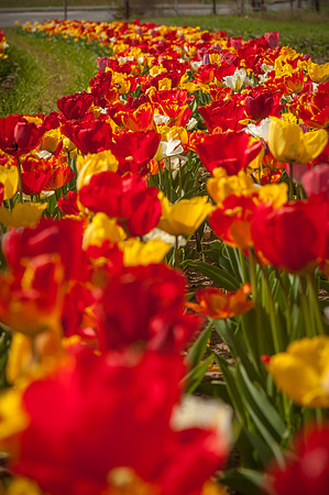 20140402_113735__DSC3160