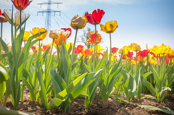 20140402_114436__DSC3234