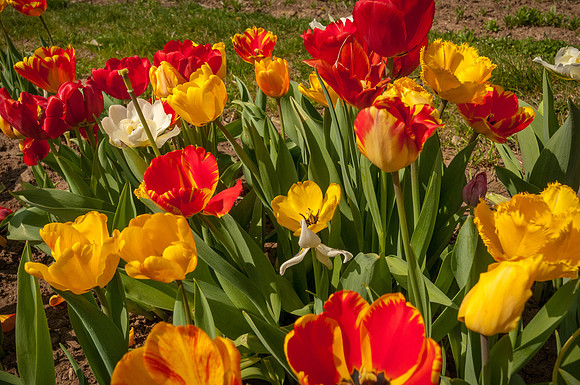 20140402_114719__DSC3258