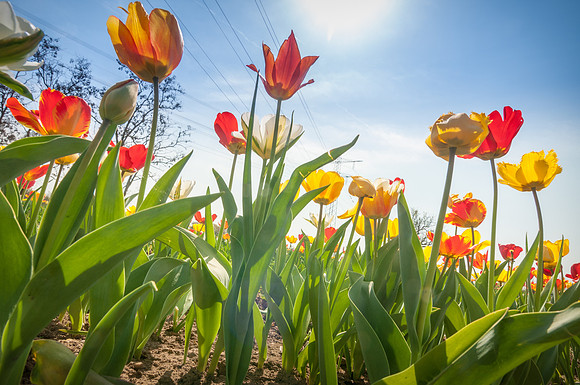 20140402_114356__DSC3229