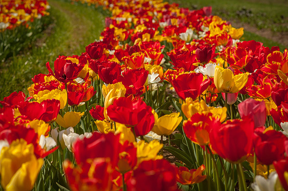 20140402_113729__DSC3159
