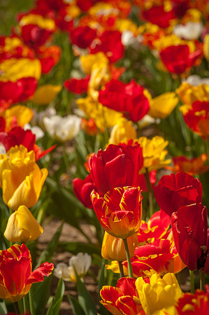 20140402_113819__DSC3170