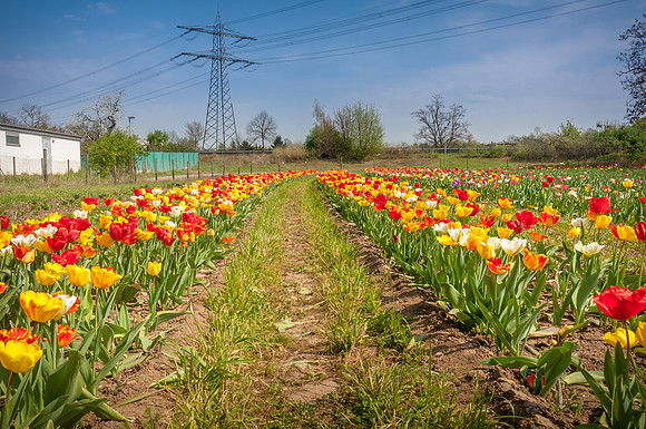 20140402_114620__DSC3253
