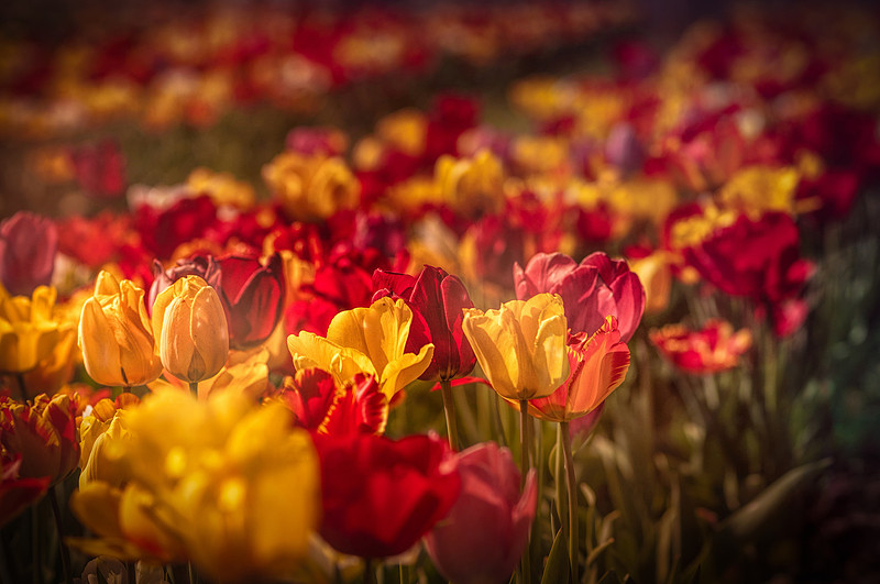20140402_113920__DSC3179-1149