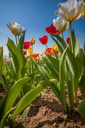20140402_114548__DSC3250