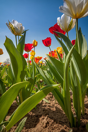 20140402_114547__DSC3249