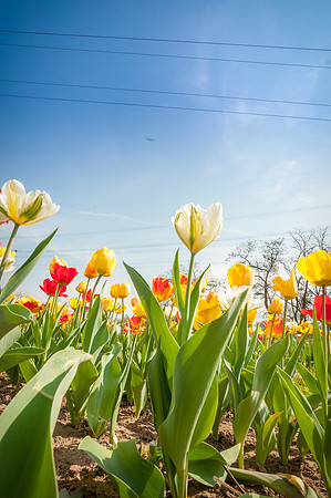 20140402_114347__DSC3223
