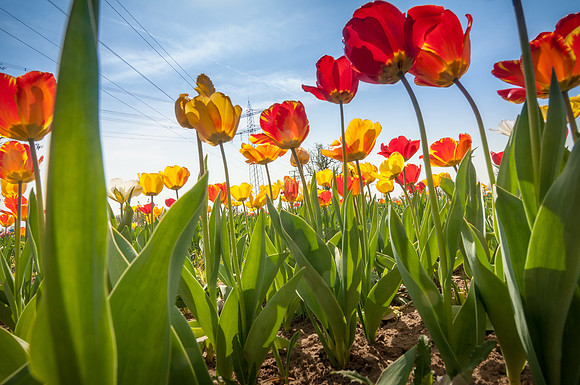 20140402_114507__DSC3240