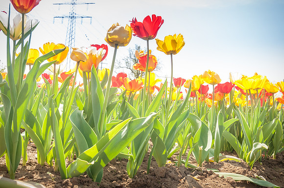 20140402_114437__DSC3235