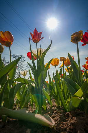 20140402_114351__DSC3226
