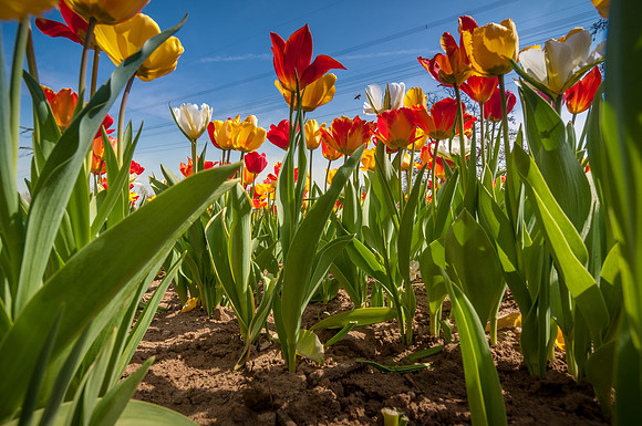 20140402_114227__DSC3195