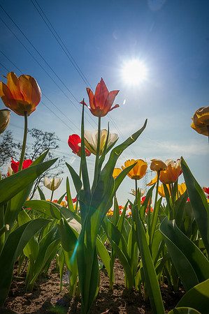 20140402_114355__DSC3228
