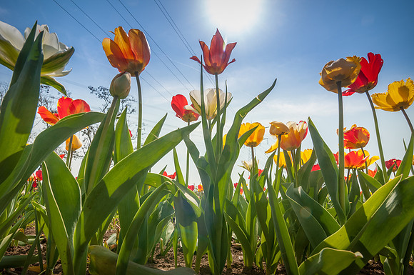20140402_114409__DSC3231