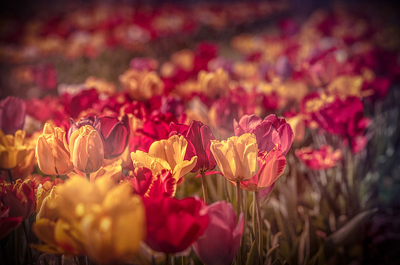 20140402_113920__DSC3179-1149