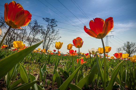 20140402_114532__DSC3246