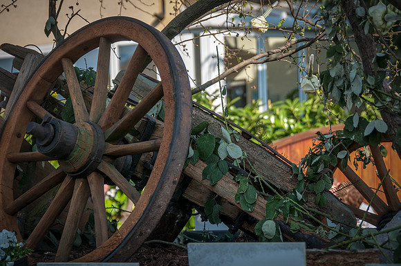 20140309_150307__DSC1024