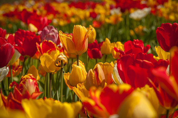 20140402_114136__DSC3191