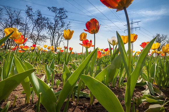 20140402_114530__DSC3245