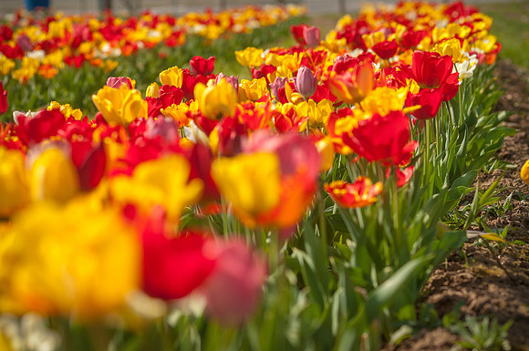 20140402_113931__DSC3180