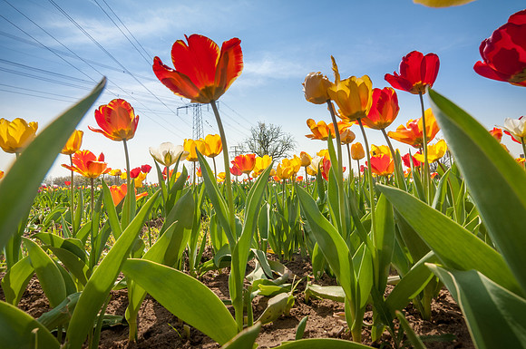 20140402_114525__DSC3244