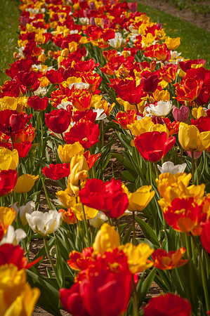20140402_113805__DSC3167