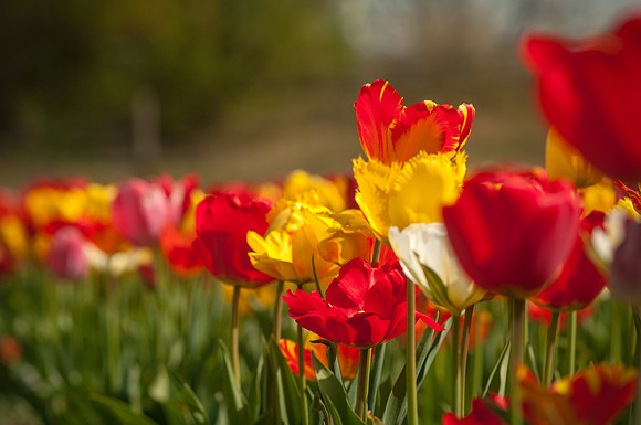 20140402_113955__DSC3182