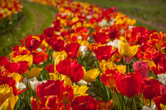 20140402_113727__DSC3158