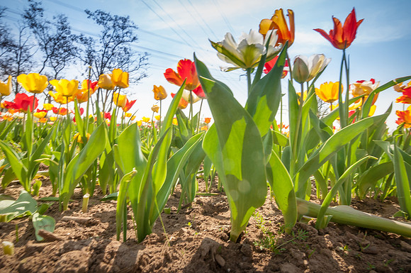 20140402_114349__DSC3225