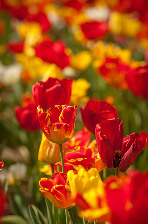 20140402_113832__DSC3171