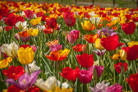 20140402_113707__DSC3155