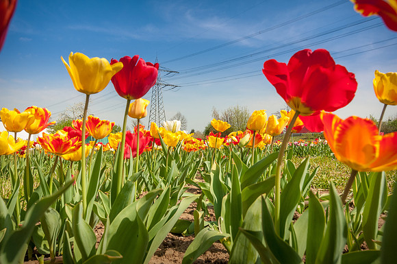 20140402_114646__DSC3256