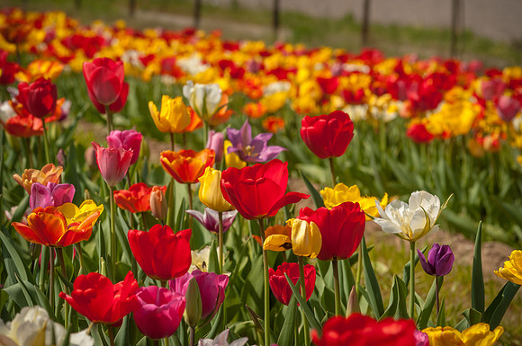 20140402_113654__DSC3151