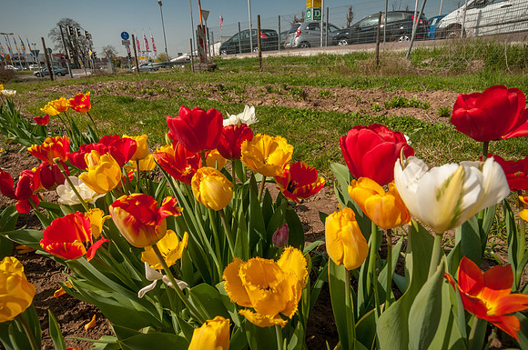 20140402_114722__DSC3259