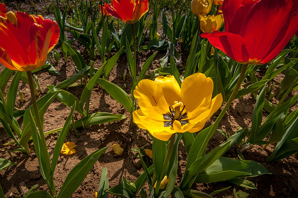 20140402_114513__DSC3242