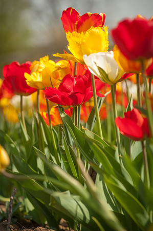 20140402_114006__DSC3183