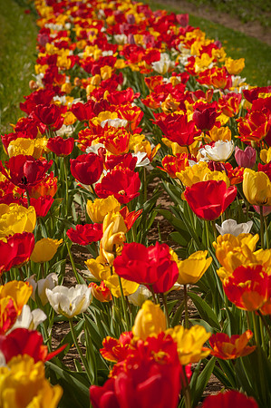 20140402_113802__DSC3166